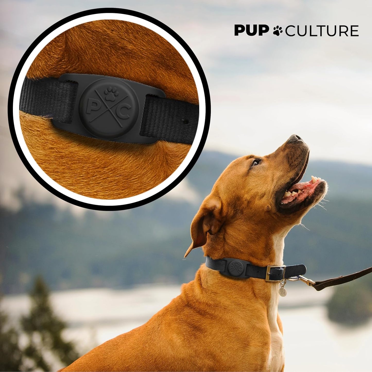 Airtag-Compatible Dog Collar | Durable and Protective Holder for Apple Airtag Technology - Ideal for Dogs and Cats
