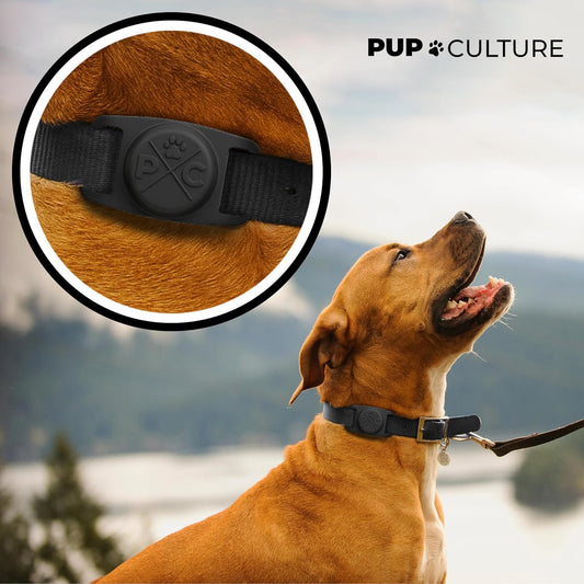 Airtag-Compatible Dog Collar | Durable and Protective Holder for Apple Airtag Technology - Ideal for Dogs and Cats
