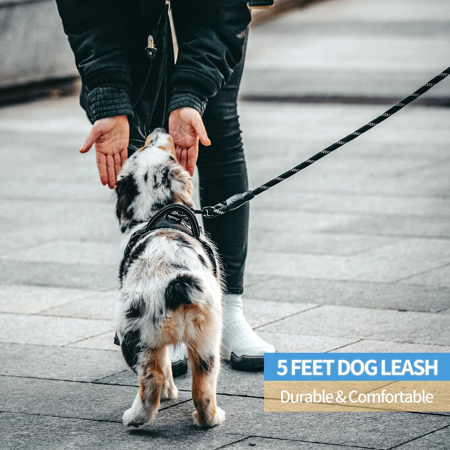 Dog Leash with Padded Handle and Reflective Threads for Small, Medium, and Large Dogs - Available in 2/4/5/6 FT Lengths (5FT-1/2'', Black)