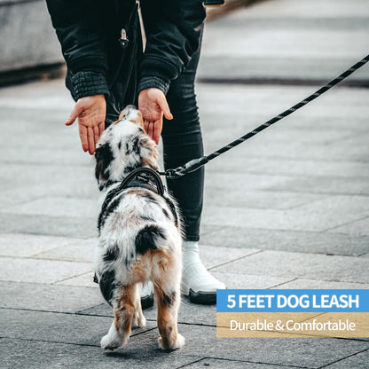 Dog Leash with Padded Handle and Reflective Threads for Small, Medium, and Large Dogs - Available in 2/4/5/6 FT Lengths (5FT-1/2'', Black)